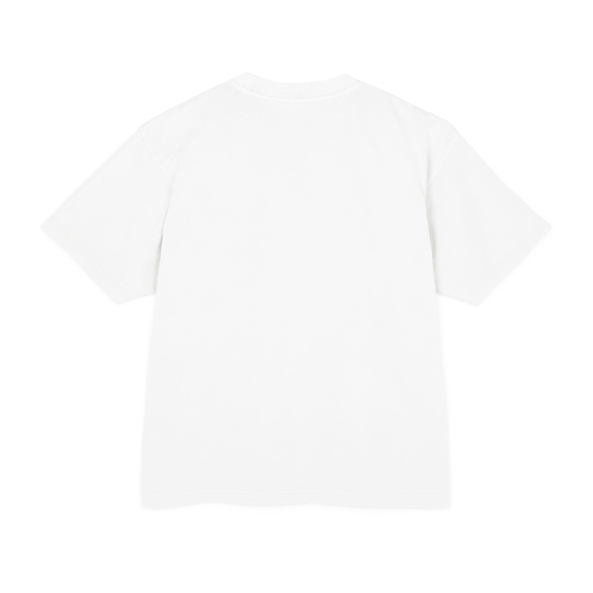 Iran Map with the Lion and Sun T-Shirt