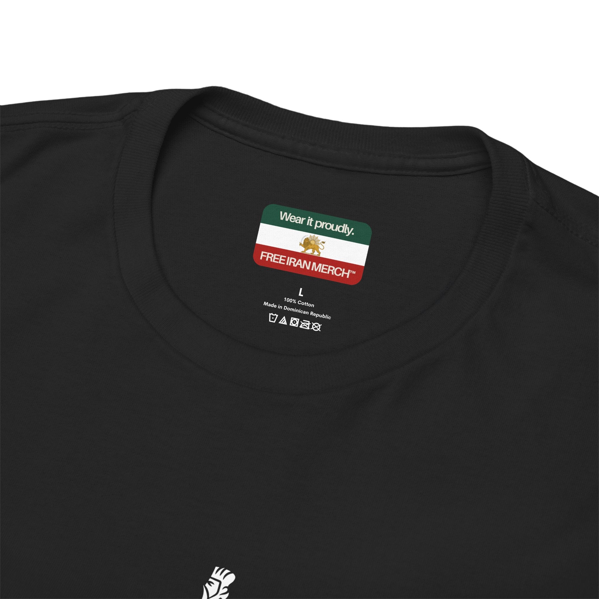 Faravahar Symbol T-Shirt - Persian Zoroastrian Winged Guardian Tee